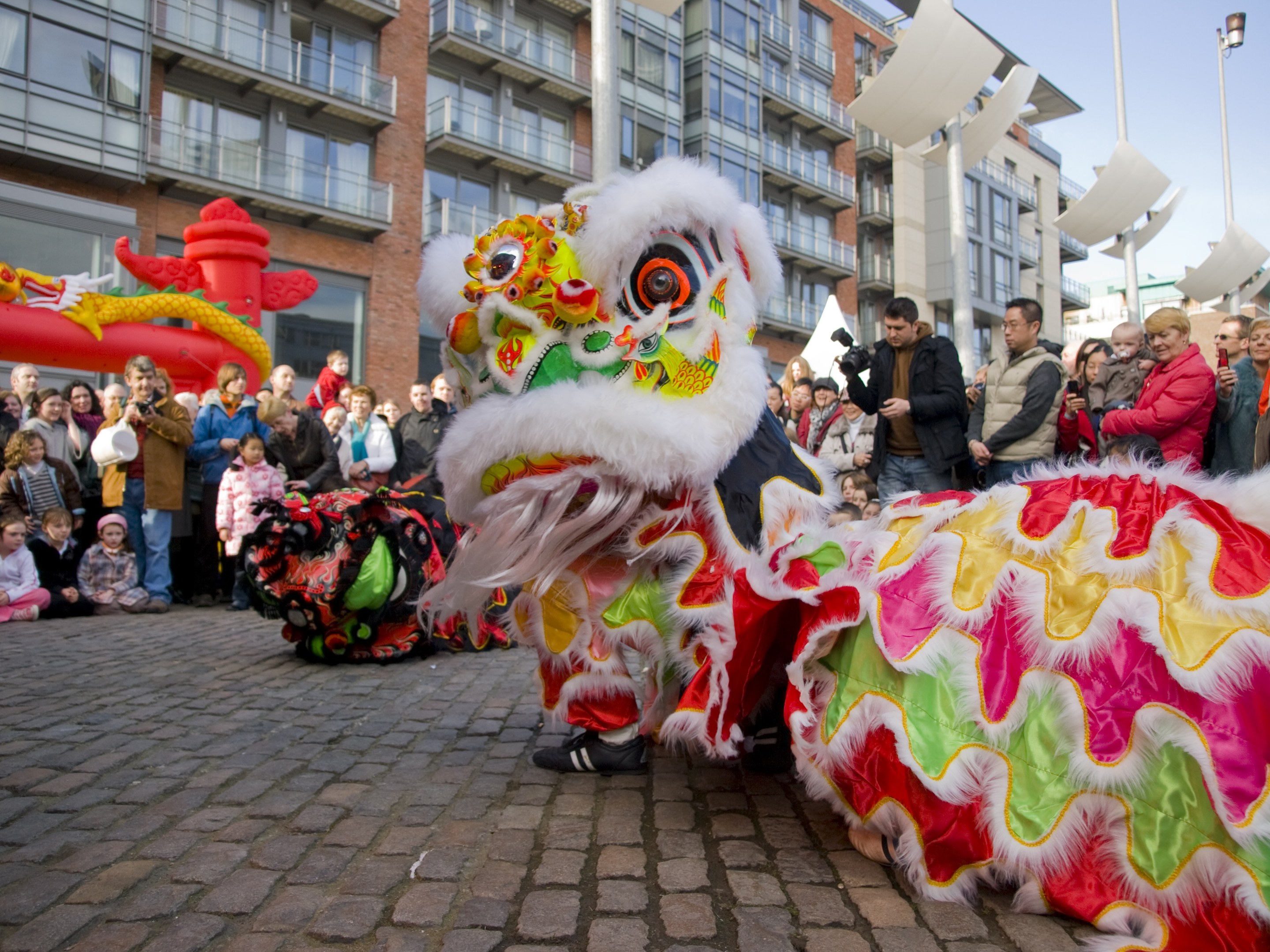 Ein lebendiges chinesisches Neujahrsfest in Amsterdam mit einer Löwen-Tanz-Show vor einer Menschenmenge, einige halten Kameras, vor Gebäuden und Laternenmasten unter einem klaren blauen Himmel.