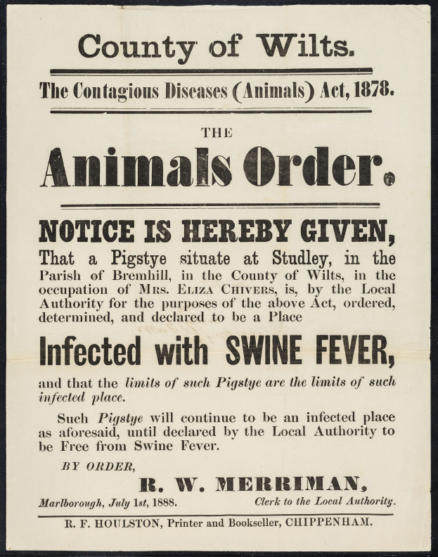 Ein Plakat mit der Aufschrift "Der Landkreis Wiltshire, das Tierseuchen-Gesetz von 1878" mit einer Ankündigung über Schweinepest.