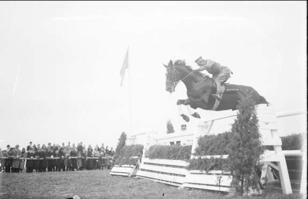 Schwarz-weiß-Foto eines Pferdes und Reiters, die über ein Hindernis springen, bei den Royal Ascot Horse Trials 1953, mit Zuschauern auf der linken Seite, einer Fahne im Hintergrund und Gras am Boden.
