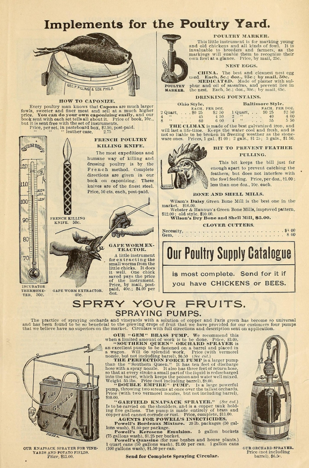 Alte Werbung für einen Hühnerhof mit Text und bunt kolorierten Bildern von Hühnerprodukten, einschließlich Zutaten, Preisen und Verwendungsanweisungen in fetter Schrift.