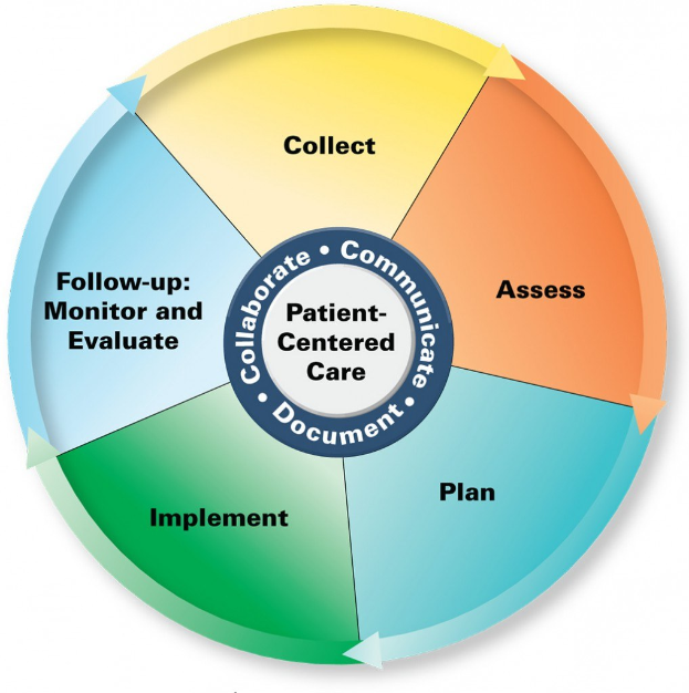 Kreisförmiges Diagramm mit der Bezeichnung "patientenorientierte Pflege" mit vier farbigen Bereichen, jeweils mit einer spezifischen Pflegebeschreibung auf einem weißen Hintergrund.