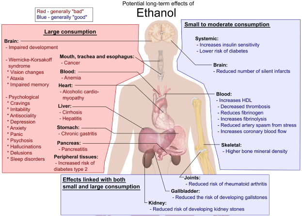 Diagramm des menschlichen Körpers mit "Ethanol" beschriftet, das betroffene Bereiche bei langfristigem Ethanolkonsum anzeigt.