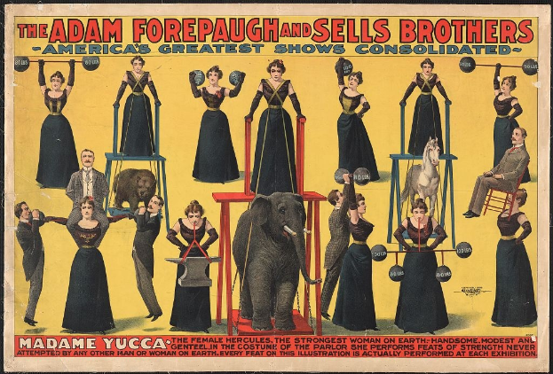 Plakat für Adam Forepaugh und Sells Brothers Circus mit Performern auf Hockern, einem Elefanten in der Mitte und Werbetext.