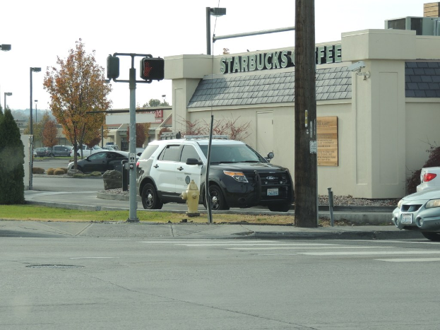 Fahrzeuge auf einer Straße mit Gebäuden, Straßenlaternen, einer an einem Mast angebrachten Tafel, einem Hydranten, Bäumen, Gras und Himmel.