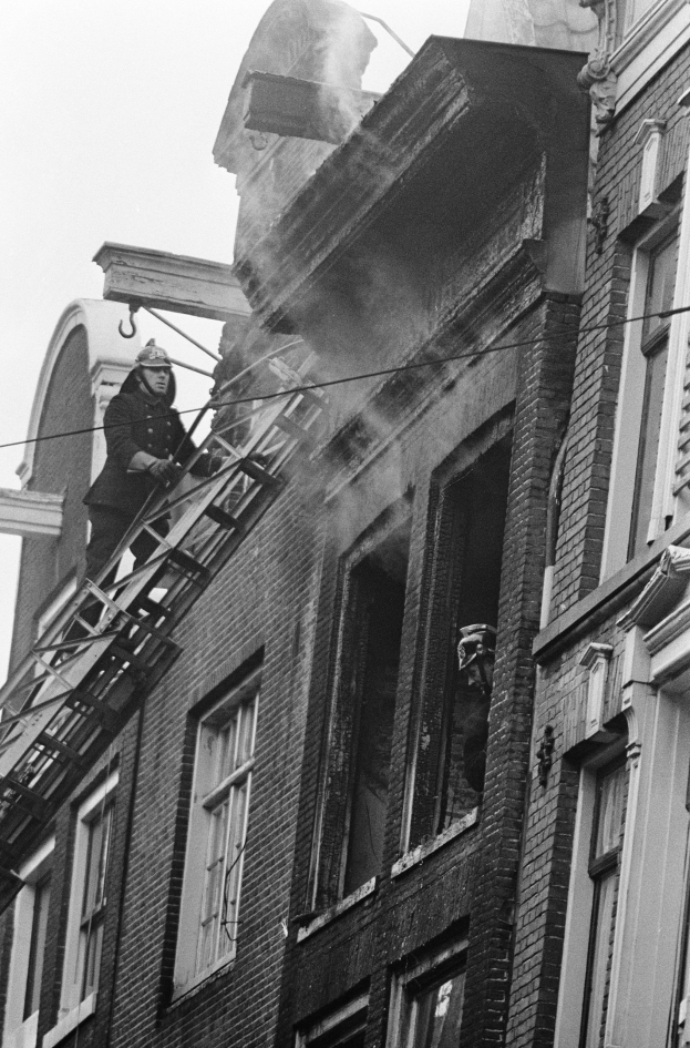 FW-BO: Feuerwehrleute retten hilfloses Kätzchen 'Loki' vom Dach eines Wohnhauses