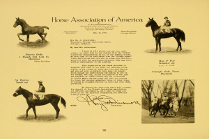 Vintage paper titled "Horse Association of America" featuring illustrations of people in traditional clothing riding horses of different sizes and colors.