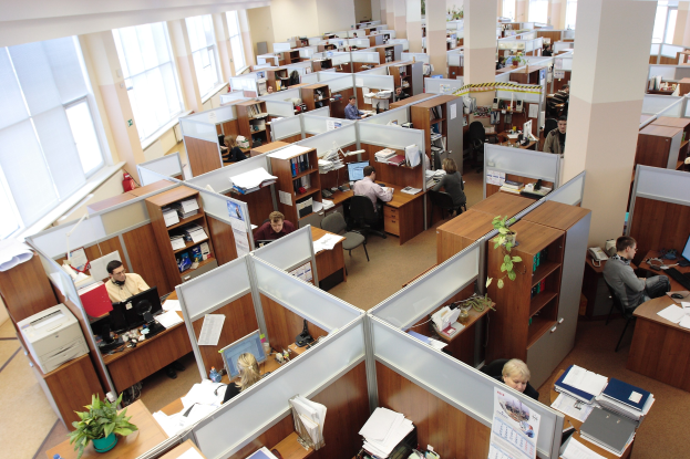 Großer open-plan-Büro mit Menschen, die an Computern arbeiten, Schreibtischen, Topfpflanzen, Büchern, Papieren und Säulen, mit Fenstern auf der linken Seite.