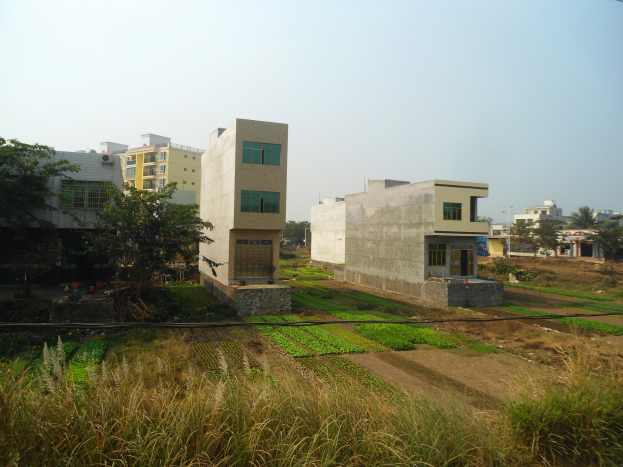 Eine Häuserreihe in einem Wohngebiet umgeben von grünem Gras, Pflanzen, Bäumen und sichtbarem Himmel, mit Überlandleitungen auf der rechten Seite.