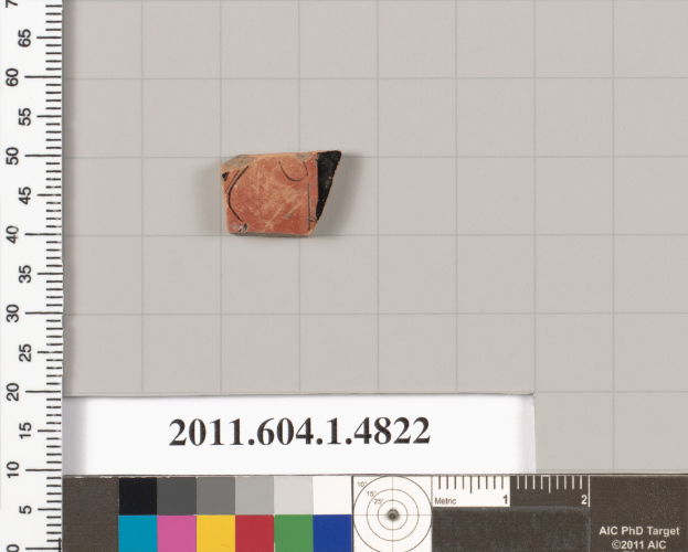 Ein kleines Tonstück liegt neben einem Lineal mit Zahlen und Text auf einer weißen Oberfläche, mit Farbmustern am unteren Bildrand.