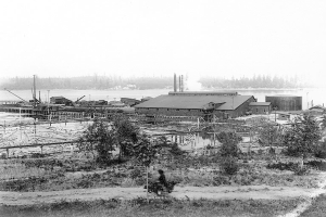 Schwarzes und weißes Foto eines großen Gewässers mit Gebäuden, Bäumen, Pfählen und anderen Gegenständen im Vordergrund, einem Tagebau in der Mitte und mehr Bäumen und Himmel im Hintergrund.