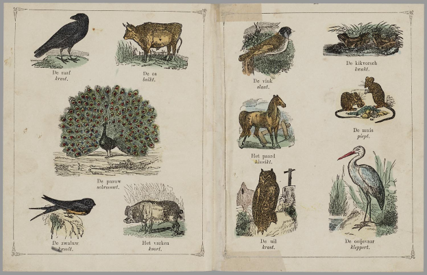 Ein aufgeschlagenes Buch mit Abbildungen verschiedener Tiere, Vögel und Pflanzen aus den Niederlanden sowie begleitendem Text.