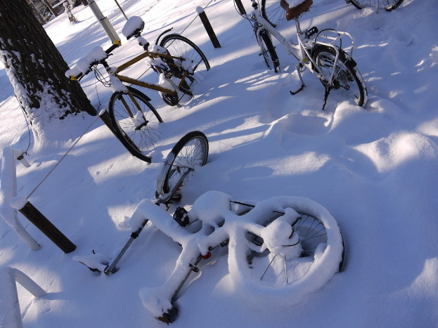 Eine dichte Ansammlung von Fahrrädern, teilweise im Schnee vergraben, entlang eines Baumstamms und einer Straße aufgereiht.