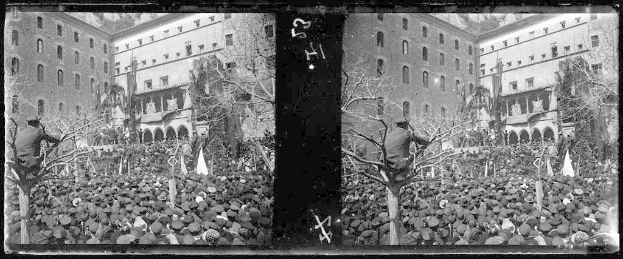 Schwarzes und weißes Foto einer großen Menge, die vor einem Stadtgebäude protestiert, mit Bäumen und Fahnen im Hintergrund.